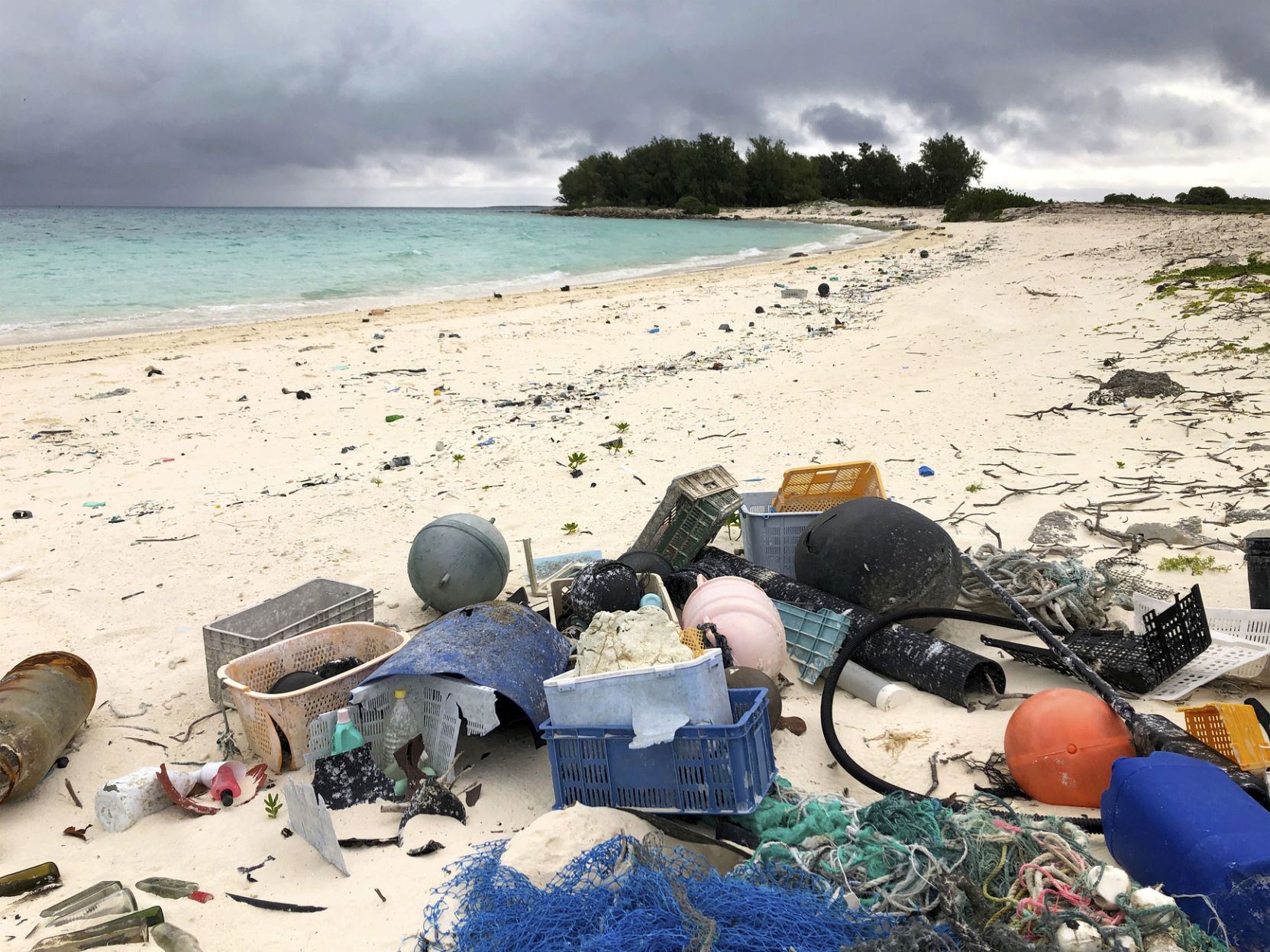 Seabird Sanctuary Plastic Death
